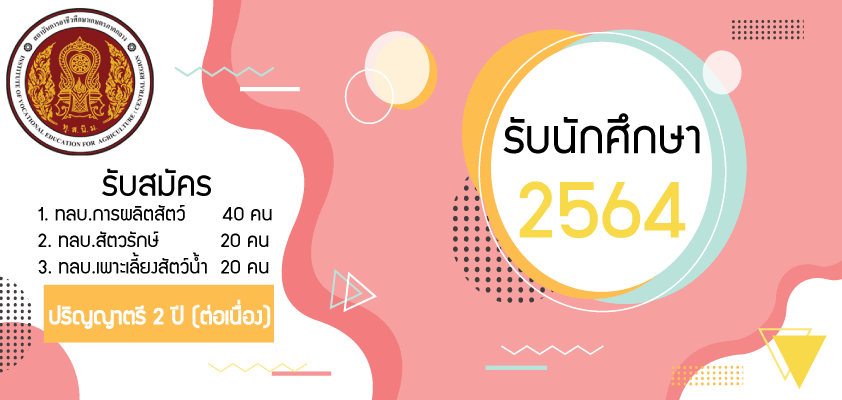 รบสมคร64