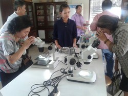 original 1472438743796