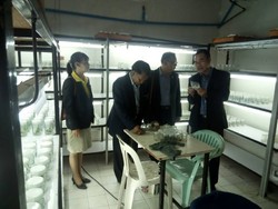 original 1474338870837